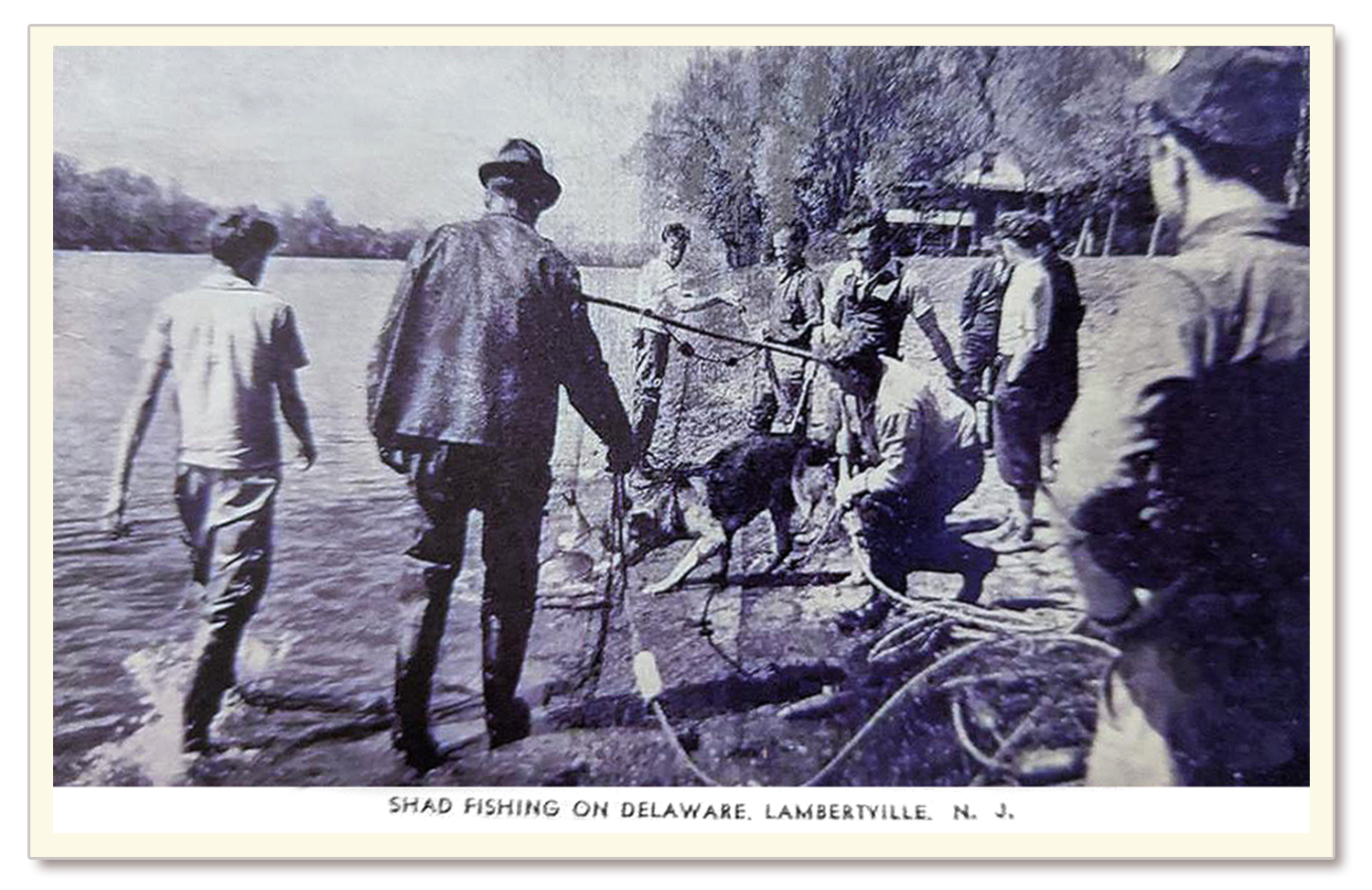 Shad fishing on Lewis Island
