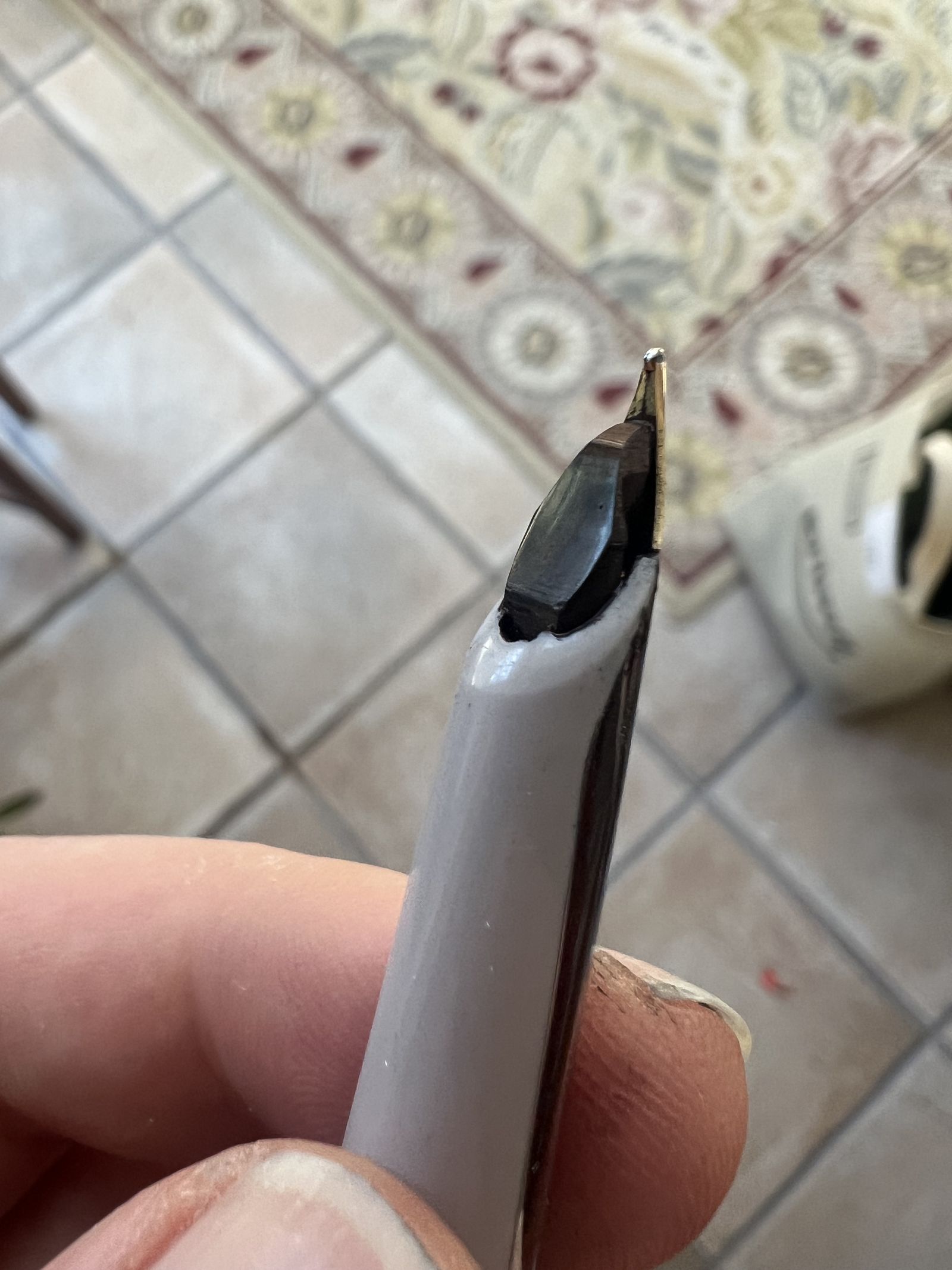Waterman C/F — hooded nib side view