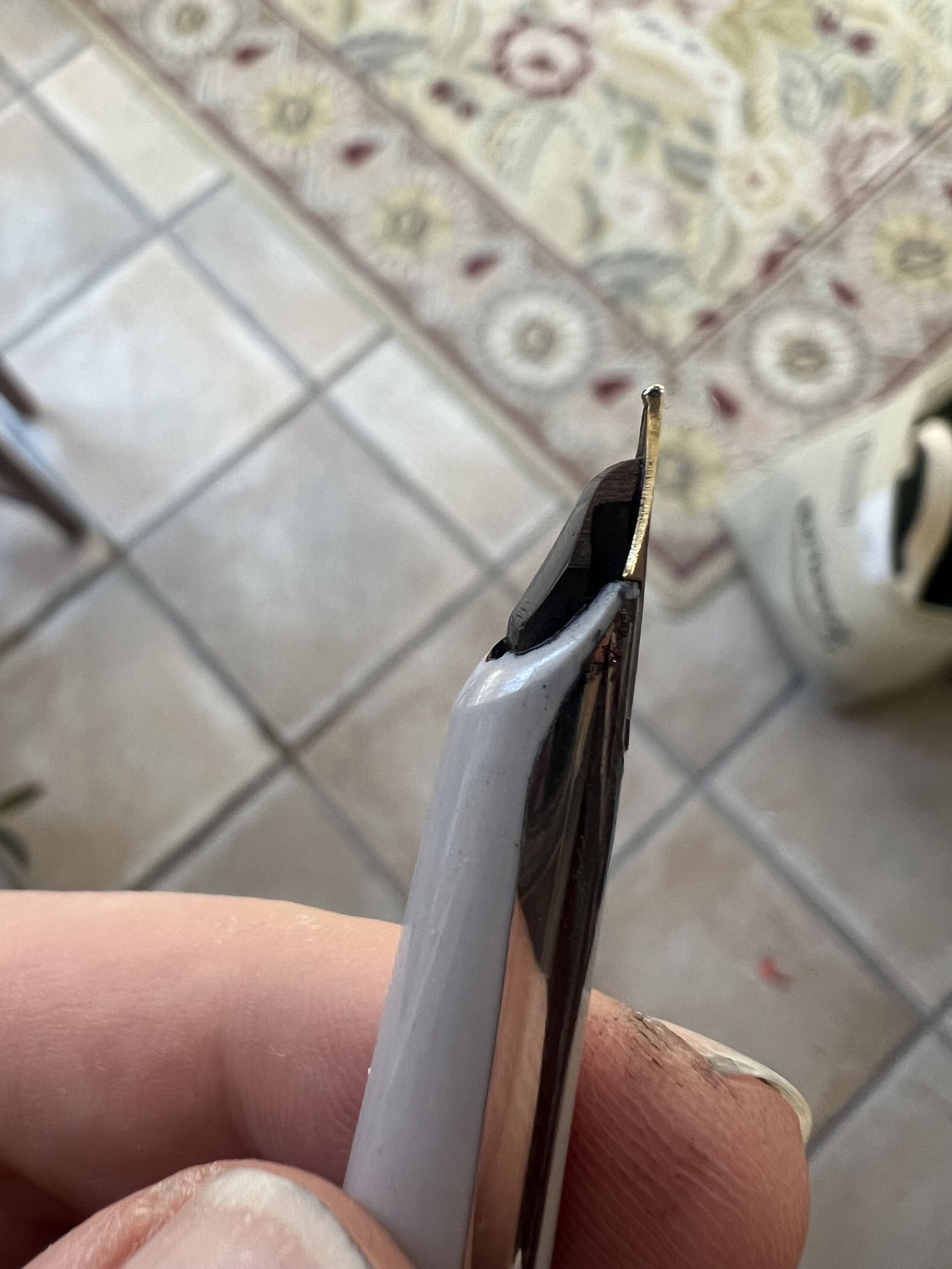 Waterman C/F — hooded nib alternate angle