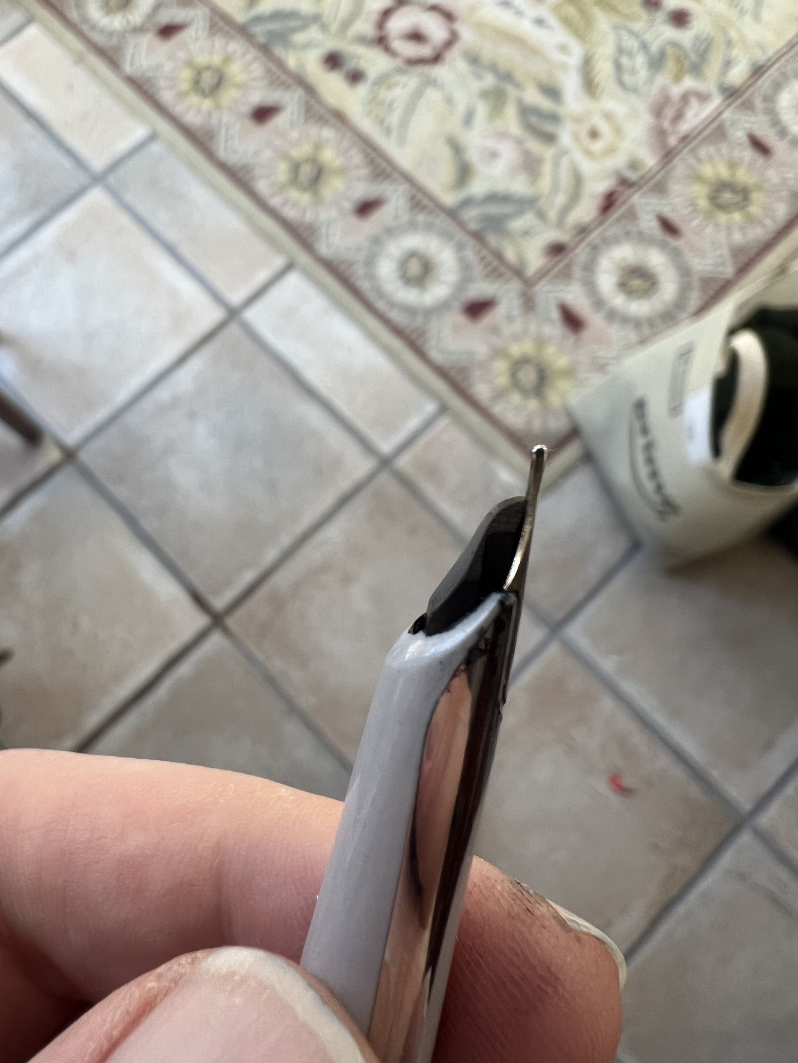 Waterman C/F — hooded nib front view