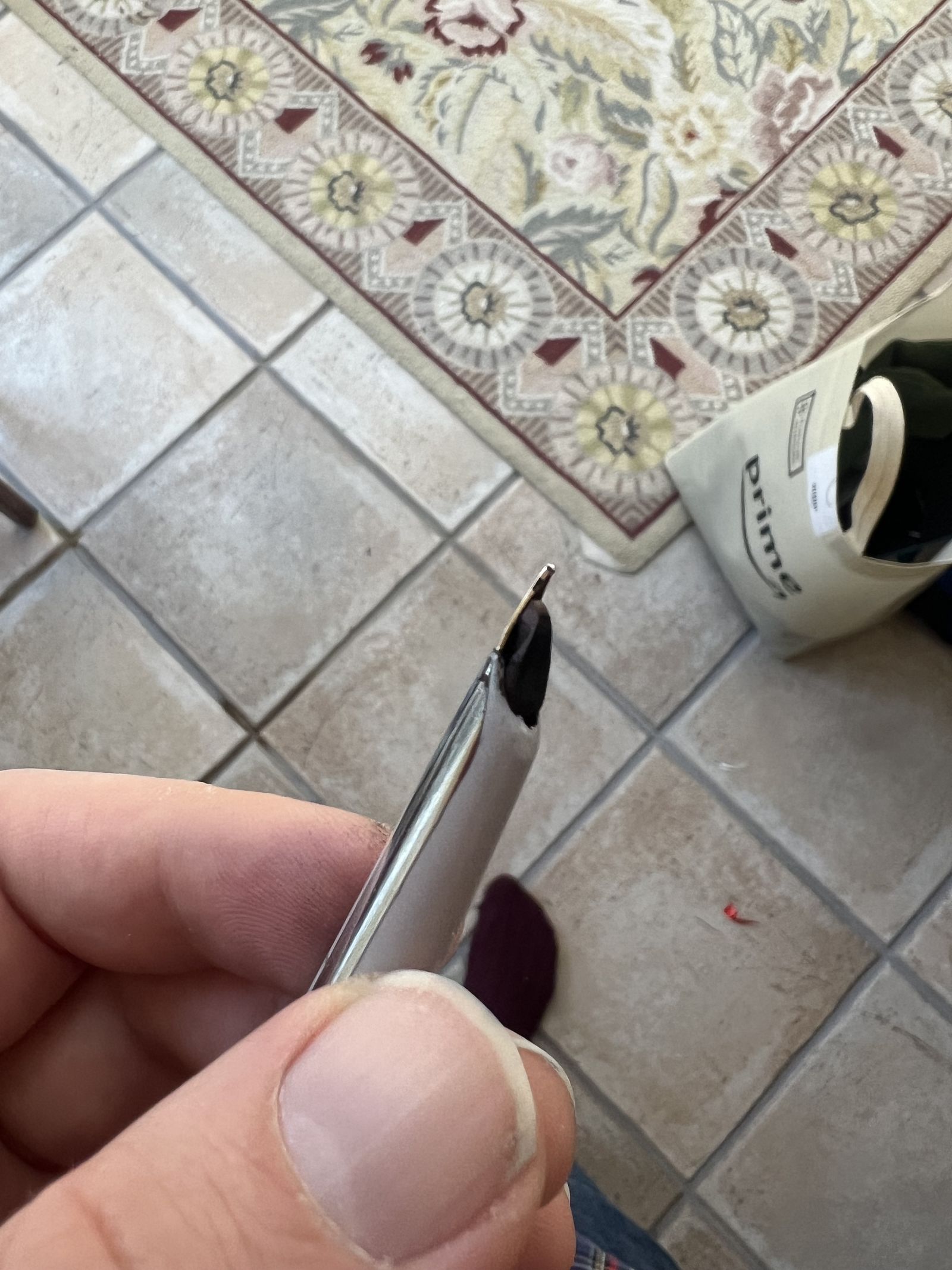 Waterman C/F — hooded nib showing blue line on grip