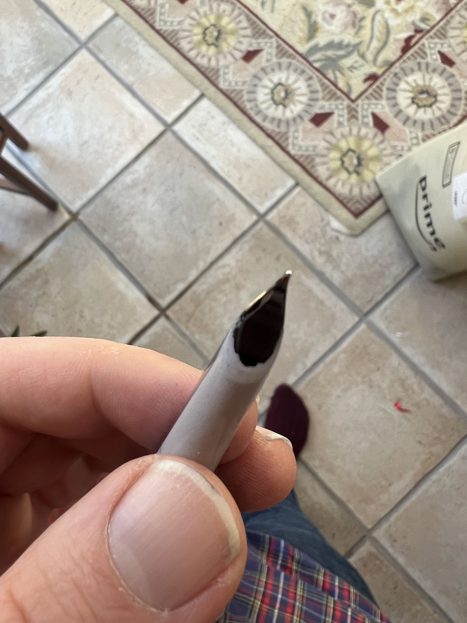 Waterman C/F — nib dipped in ink