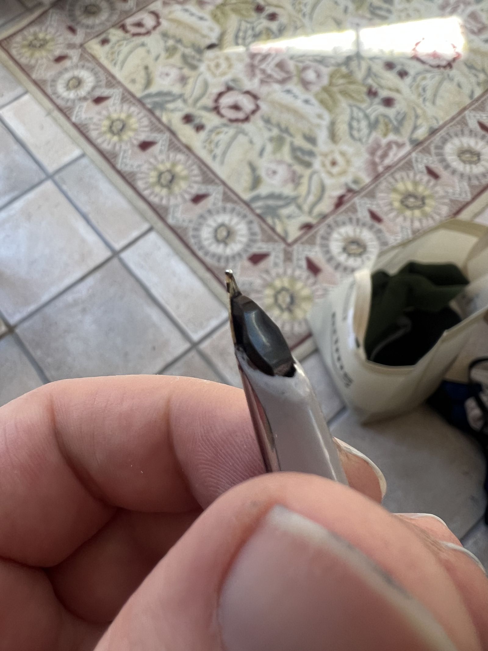 Waterman C/F — hooded nib inked close-up