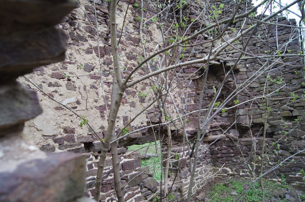 Alternate view