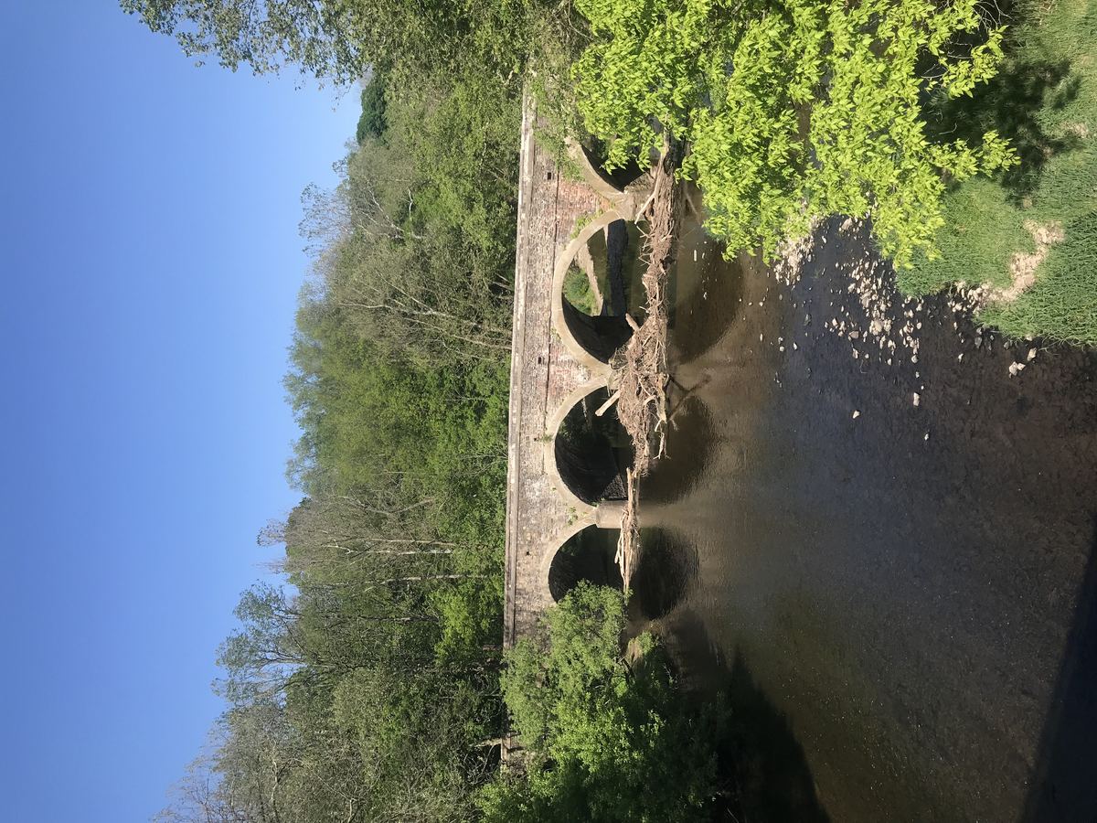 Alternate view