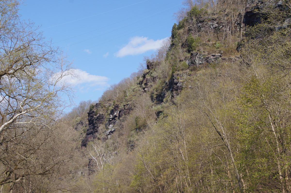 Alternate view