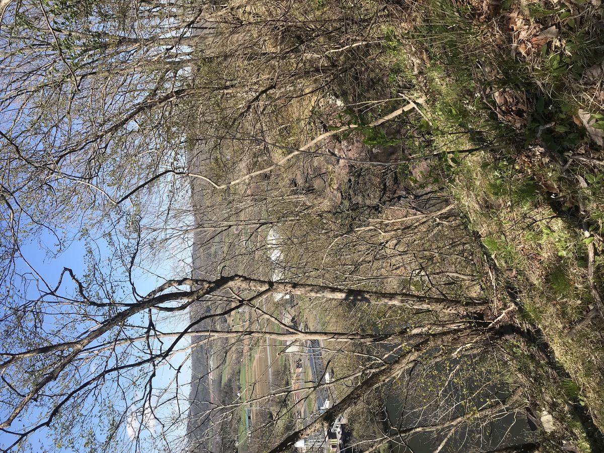 Alternate view