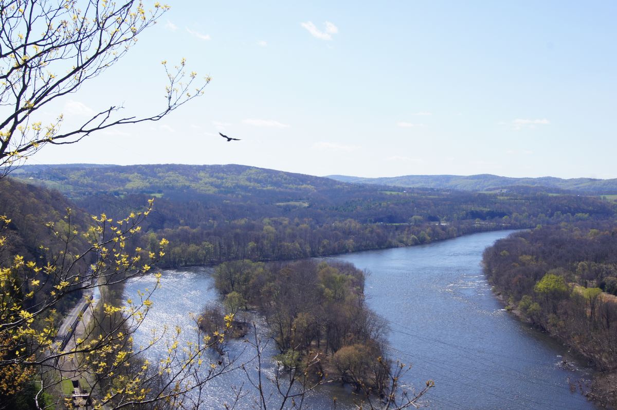 Alternate view