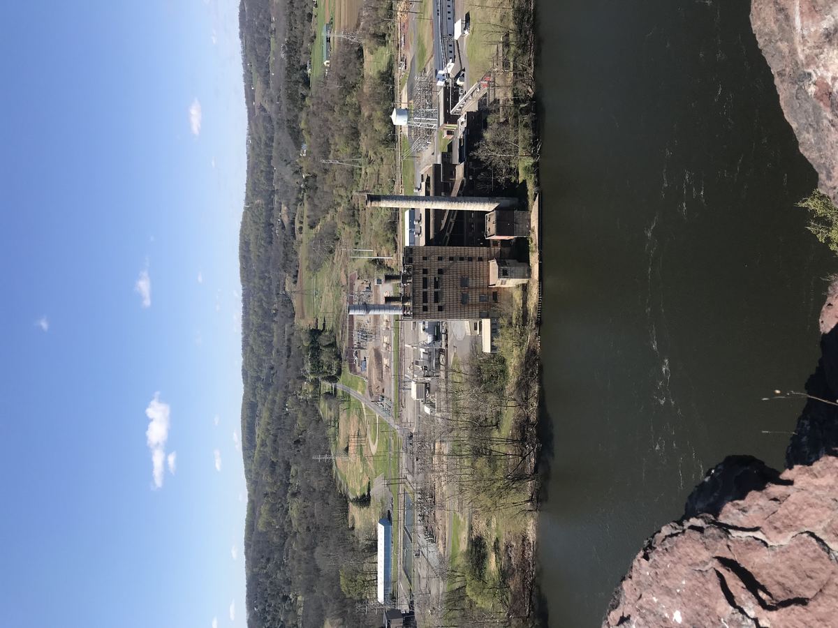 Alternate view