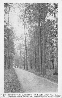 "The Eyre Line" — George School Woods
