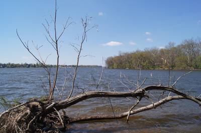 At the Mouth of the Neshaminy