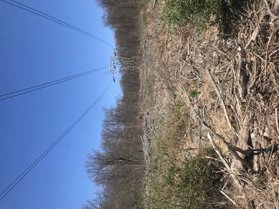 “Rocky Valley,” Springfield Twp