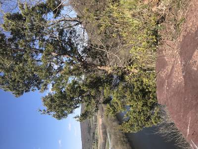 View from “Top Rock.” Looking up river