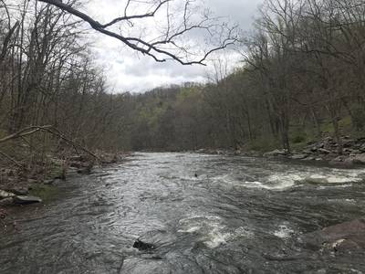 Shadowy Tohickon, Point Pleasant