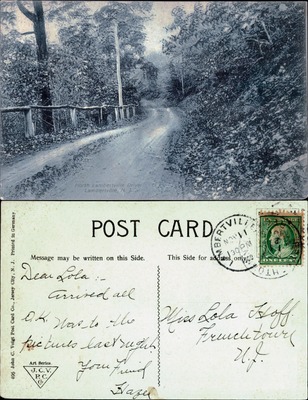 North Lambertville Drive rural road through woods NJ