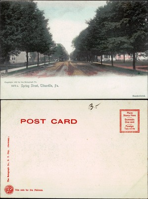 Spring Street Titusville Pennsylvania tree-lined road view