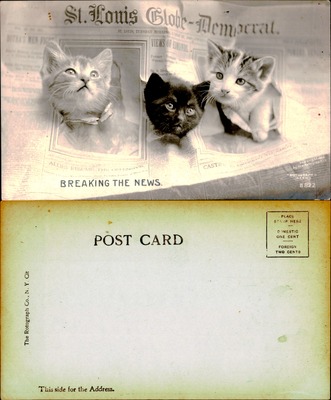 Three kittens breaking through St Louis Globe-Democrat newspaper