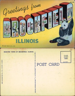 Greetings from Brookfield, Illinois large-letter zoo linen postcard with panda