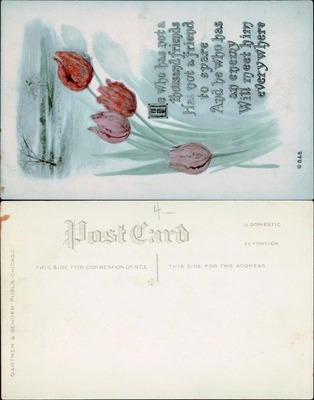 Friendship Verse with Tulips — Greeting Postcard