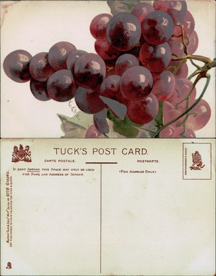 Bunch of Red Grapes, Tuck's Art Series