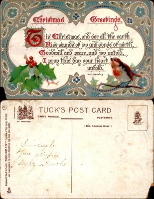 Christmas Greetings with Robin and Holly, Tuck's Postcard