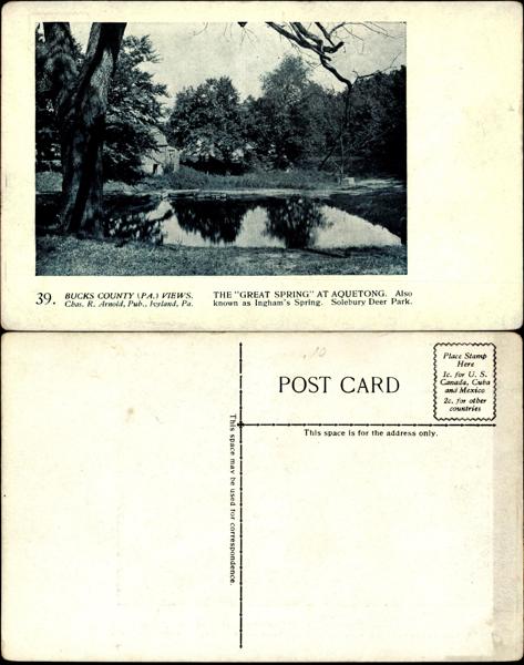 Arnold Bros 039: The Great Spring at Aquetong in Solebury Deer Park
