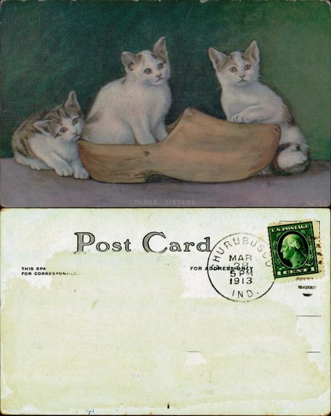 Three kittens in a wooden bowl setting