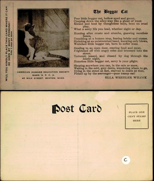 The Beggar Cat Poem Illustration