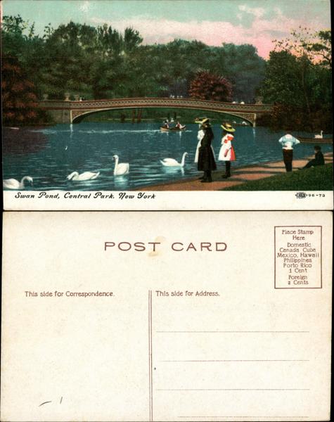 Swan Pond in Central Park