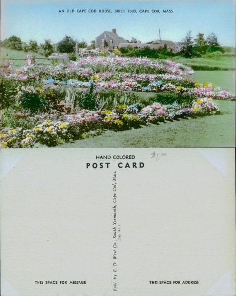 Old Cape Cod House Postcard