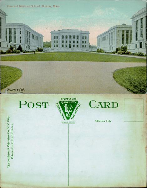 Harvard - Harvard Medical School Postcard